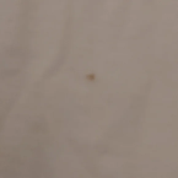 "Blessed"cropped tee - Picture 4 of 4